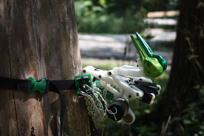 A robot called The Woodiest strapped to a tree in a
		 park with both of its heads down awaiting the sound of a
		 pileated or black woodpecker's drumming to initiate its
		 performace. Animal robot art by artist Ian Ingram.